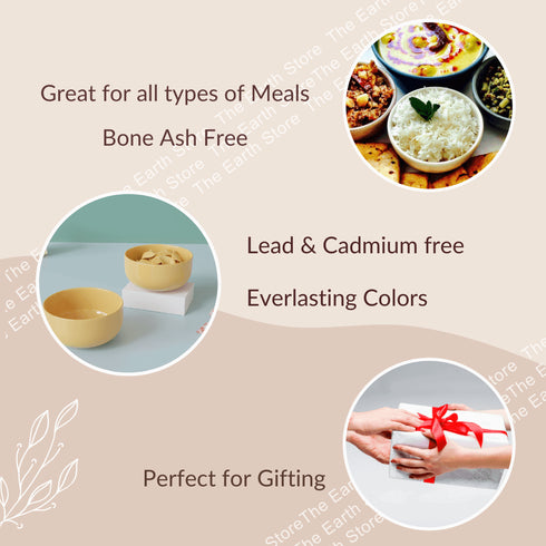 Solid Mustard Color Ceramic Bowl Set Of 4 - The Earth Store - Bowl